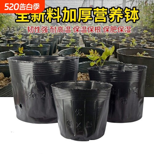伊槿营养杯育苗杯营养钵