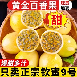 13左右【钦蜜9号广西黄金百香果仅重2.5斤