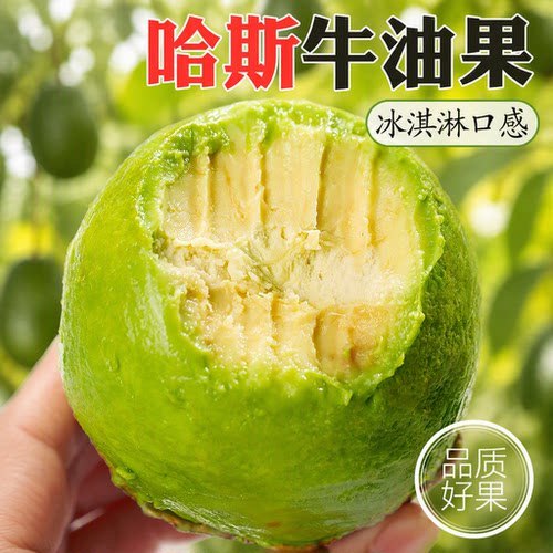 当季哈斯牛油果大果孕妇新鲜水果应季整箱包邮一级鳄梨辅食鲜果