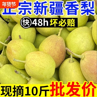 爆甜正宗新疆香梨新鲜水果梨子红香酥梨库尔勒杂交品种现摘年货节