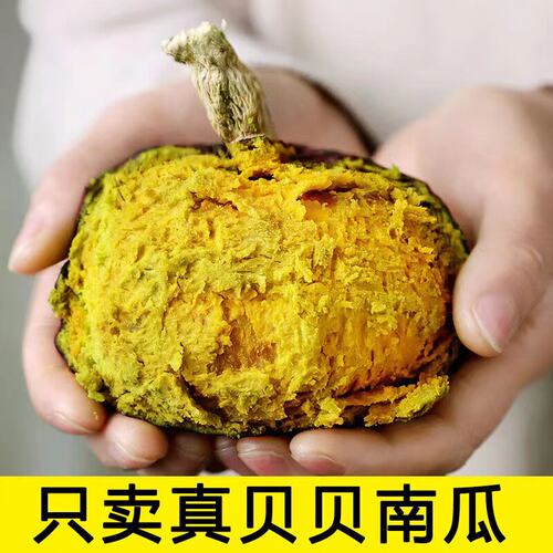 山东正宗真贝贝南瓜粉面老南瓜