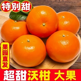 整箱砂糖柑橘果农直发 新鲜正宗云南沃柑9斤新鲜桔子水果橘子当季