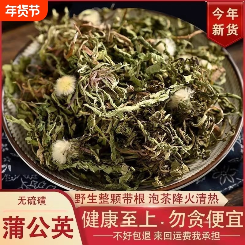 蒲公英带根干货500g新鲜浦公英中药材蒲公英茶不特级野生当季采摘
