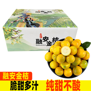 广西脆皮脆蜜金桔新鲜桔子应当季水果融安蜜金柑桔新鲜水果包邮