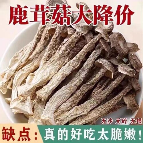 无干燥剂高山鹿茸菇干货农家特产菇净重炖汤无熏美味煲汤健康好吃