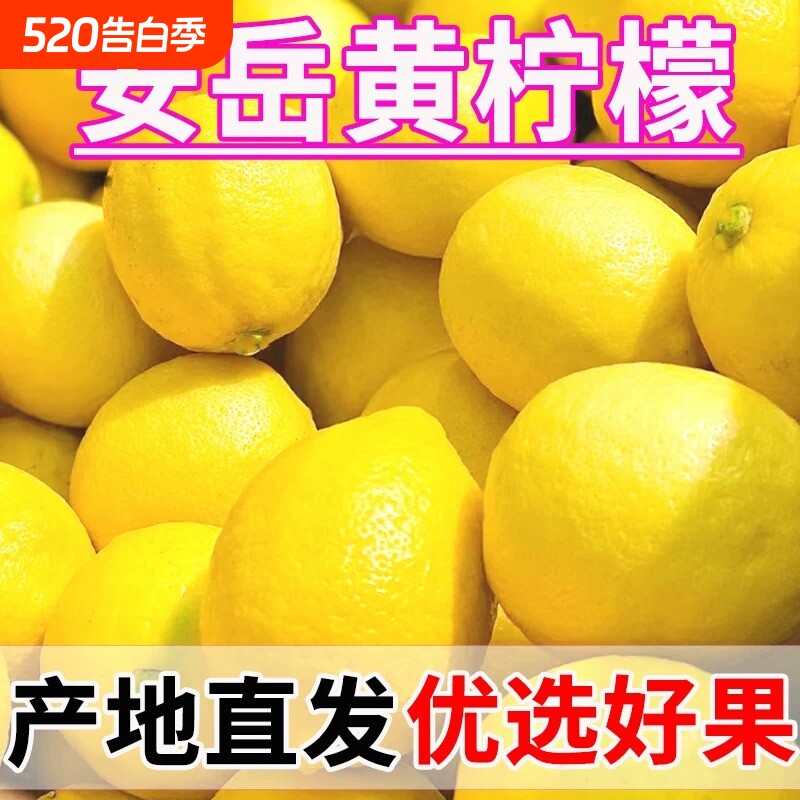 安岳黄柠檬一级鲜果新鲜皮薄汁多可选大小奶茶店推荐鲜柠檬