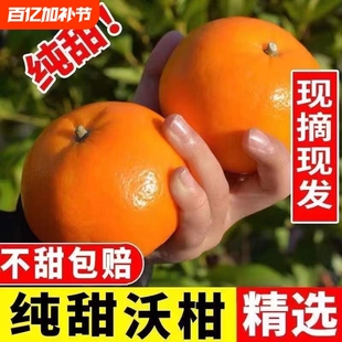 正宗云南沃柑新鲜水果当季整箱时令9斤香甜多汁砂糖橘柑现摘源头