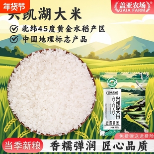 .盖亚农场兴凯湖大米云露香米1斤装东北黑龙江圆粒硬米煮米粥