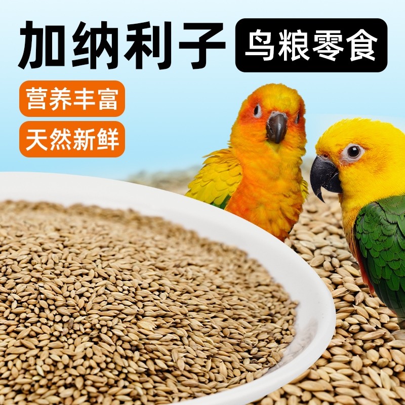 宠物零食加纳利子鹦鹉鸟食玄凤虎皮牡丹中小型鸟粮食白尖饲料八哥