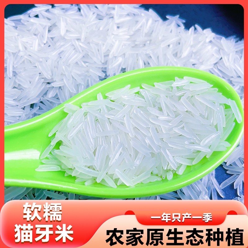 新客特价大米长粒香正宗猫牙米新米优质香米农家米试吃生态年货