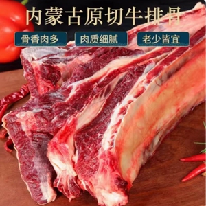 新鲜牛排骨牛肋条骨内蒙古牛肉火锅熬汤底红烧炖汤