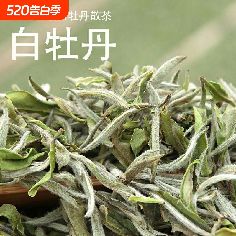 福鼎老白茶2026年白牡丹散装袋装高山茶叶100克500克一级花
