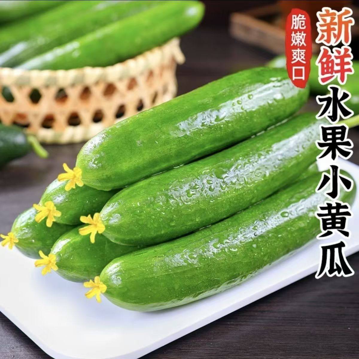 山东水果黄瓜新鲜生吃小黄瓜青瓜时令蔬菜即食白玉女黄瓜新鲜整箱,水产肉类/新鲜蔬果/熟食,黄瓜,淘宝优惠券,粉丝福利购,淘宝优惠卷