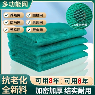 加厚果园果树大棚网渔网防冰雹网防鸟用网水产养殖网家禽养鸡网