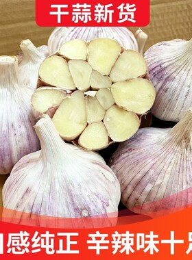26年山东金乡紫皮大蒜头批发干蒜新鲜饱满糖醋种蒜优质产地直发