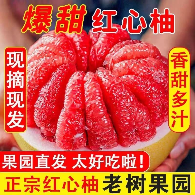 红心蜜柚三红柚鲜甜多汁
