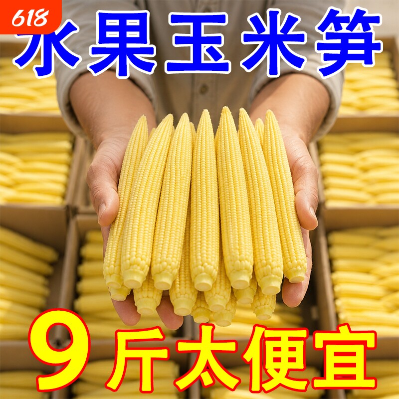 【大降价】新鲜甜玉米笋迷你小玉米芯仔蔬菜嫩玉米棒水果玉米批发