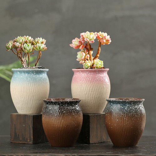 多肉花盆陶瓷法师老桩盆