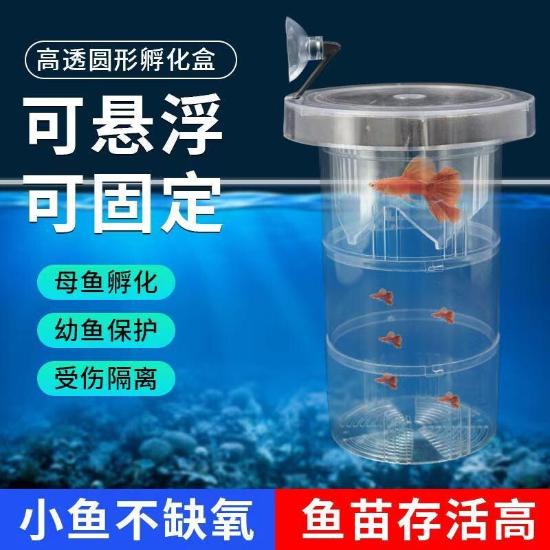 鱼缸隔离盒孔雀鱼繁殖盒凤尾斑马产房小鱼缸生鱼产卵孵化悬浮漂浮