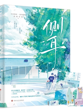 侧耳 木甜著 大鱼文学 校园暗恋成真双向救赎久别重逢 青春都市言情小说 四川文艺出版社