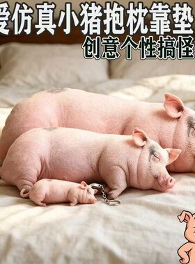 可爱仿真猪猪抱枕丑萌玩偶公仔