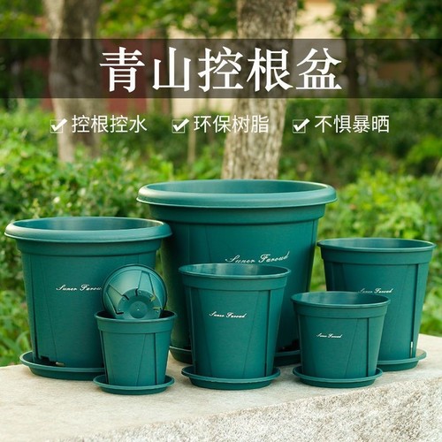 青山盆加仑盆大号|回购1.5万次