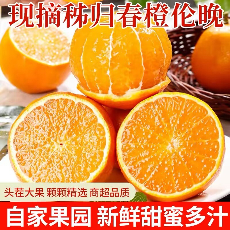 橙子伦晚脐橙湖北秭归新鲜10斤大果甜春橙榨汁手剥橙整箱当季水果