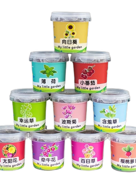 儿童种植小盆栽植物生长观察