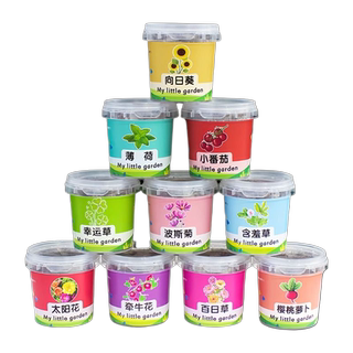儿童种植小盆栽太阳花向日葵花种籽子幼儿园小学生植物生长观察盒
