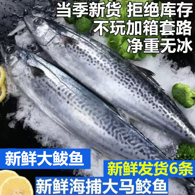大号马鲛鱼新鲜冷冻特大鲅鱼野生燕尾鱼无冰净重整条马友鱼批发,水产肉类/新鲜蔬果/熟食,马鲛鱼,淘宝优惠券,粉丝福利购,淘宝优惠卷
