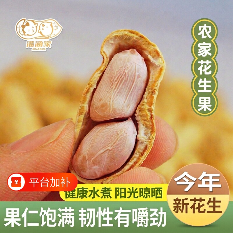 破价优惠广东花生蒜香五香原味花生零食特产解馋小零食咸花生