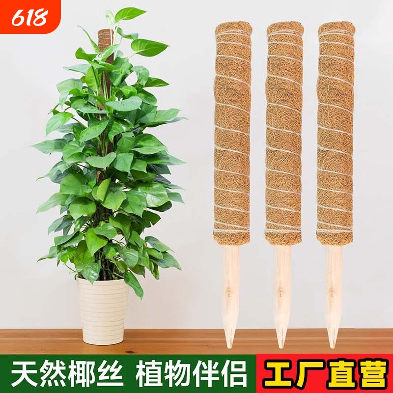 攀爬架椰棕植物柱棒支撑爬藤花架椰丝缠绕棕榈柱杆可拼接