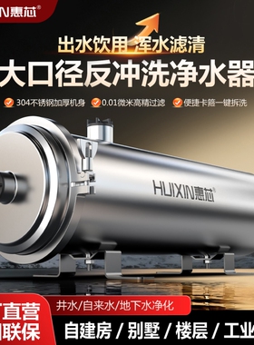 大口径反冲洗净水器家用直饮厨房