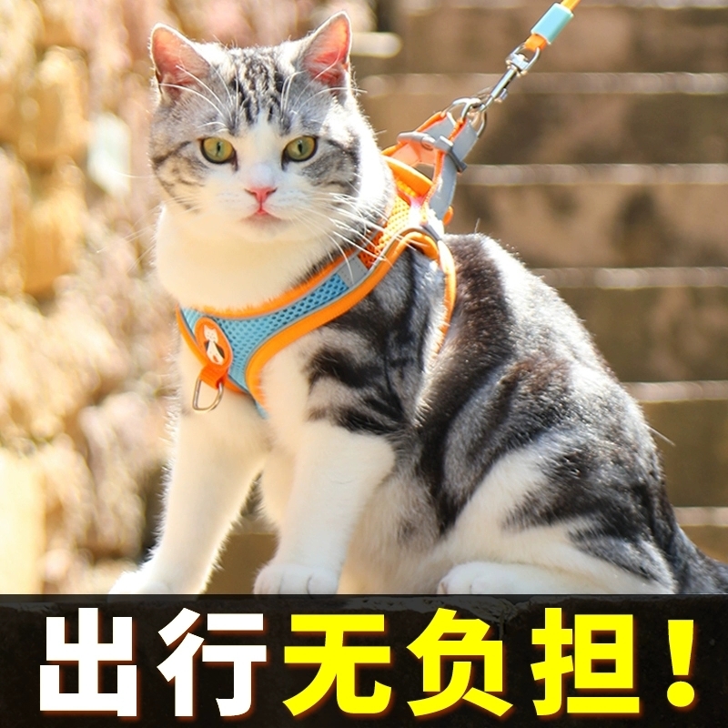【猫咪防挣脱牵引绳】猫绳小型犬胸背带绳子溜猫绳宠物遛狗牵狗绳