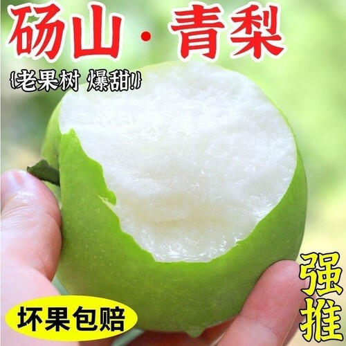 青皮梨子季水果梨子梨应季水果