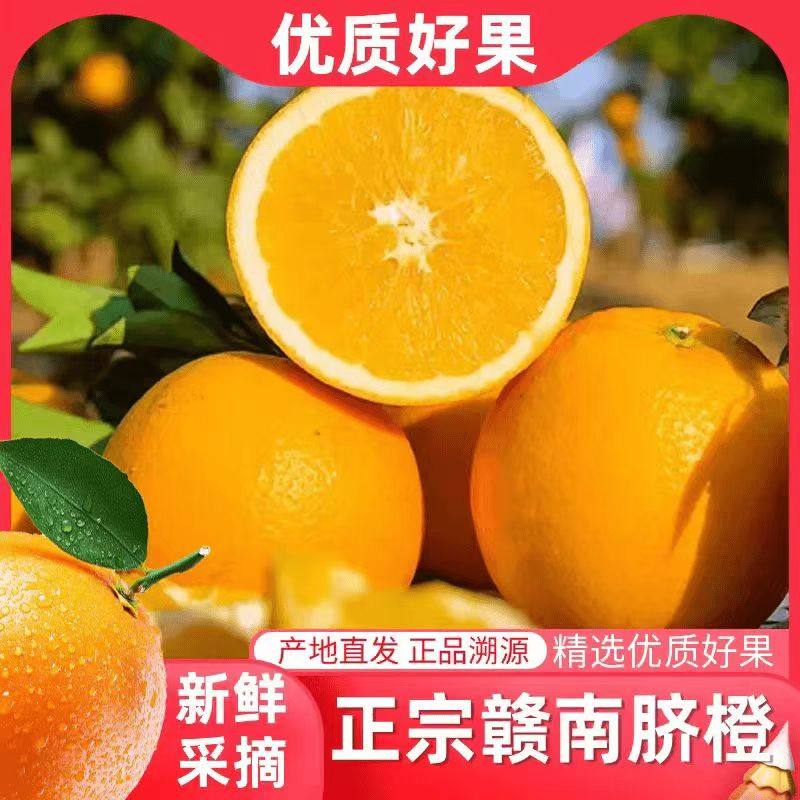 正宗江西赣南脐橙新鲜橙子赣州当季水果整箱甜冰糖手剥橙现摘,水产肉类/新鲜蔬果/熟食,橙,淘宝优惠券,粉丝福利购,淘宝优惠卷