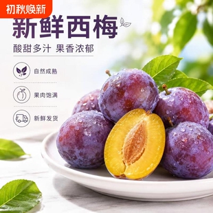 正宗西梅新鲜水果当季整箱新鲜李子甜蓝蜜特大法兰西蓝蜜时令鲜果