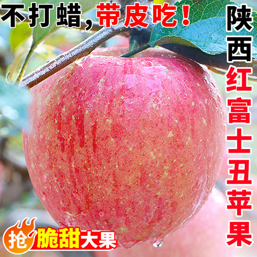 正宗陕西红富士苹果新鲜脆甜