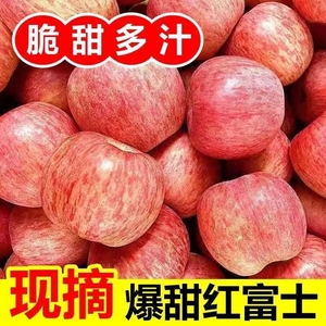 【官补3斤8.8】山东烟台红富士苹果70中果