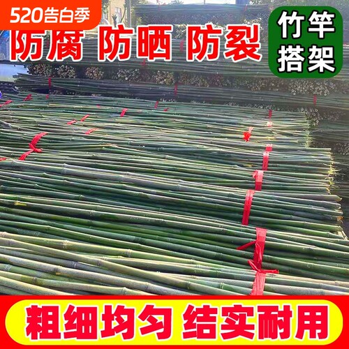 竹竿爬藤架蔬菜攀爬架耐腐耐用