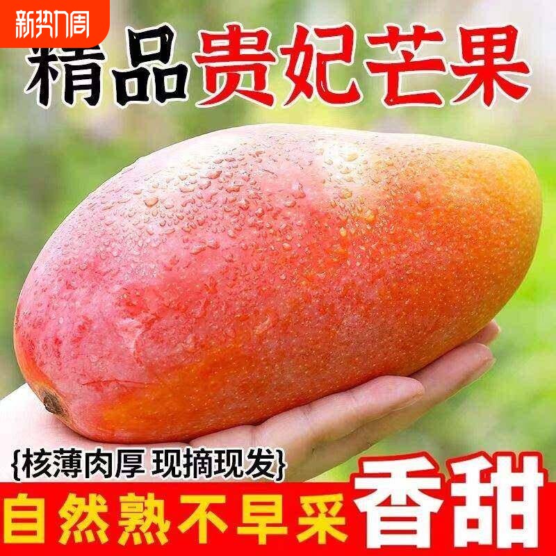 海南贵妃芒新鲜芒果9斤应当季水果树上熟红金玉青辣椒芒大果整箱