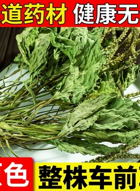 车前草野生新货干货正品整株官方旗舰店中药材夏枯草新鲜整棵