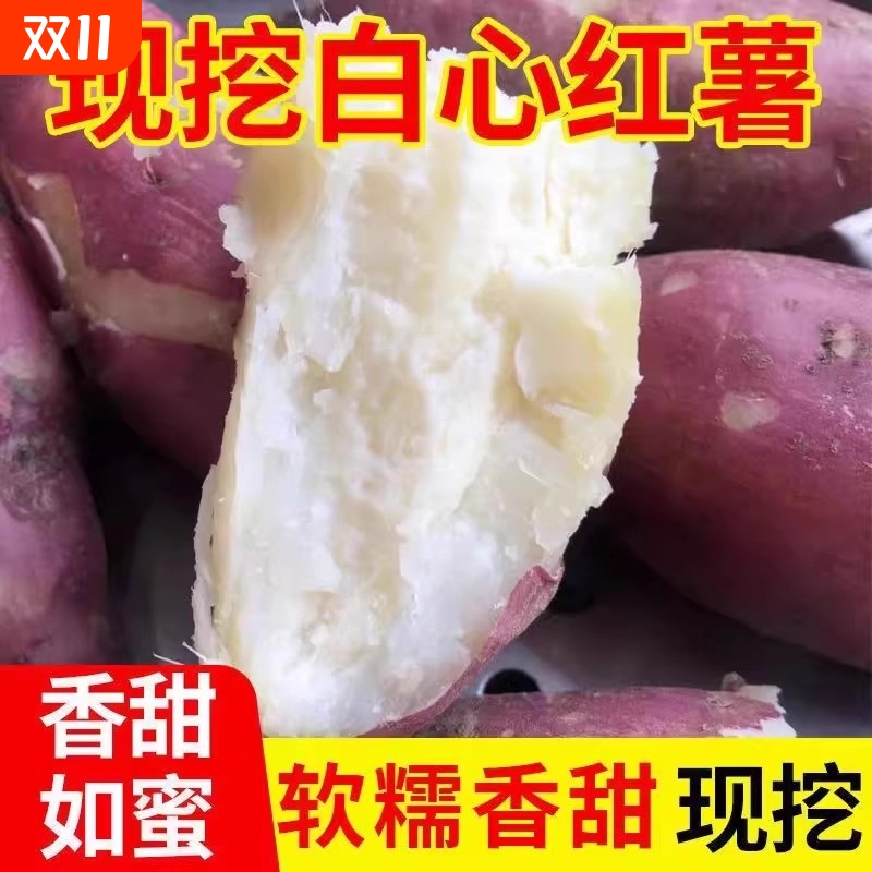 正宗新鲜现挖哈密白心板栗薯红皮白心红薯新鲜番薯白瓤山芋白心薯