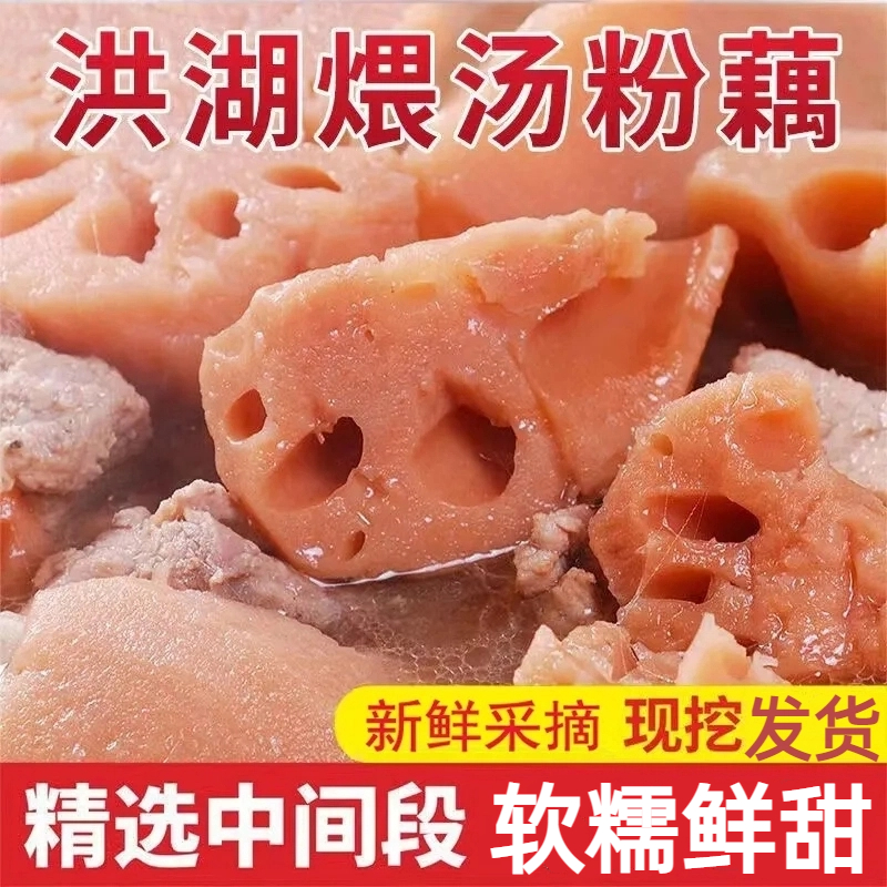 湖北洪湖莲藕煲汤粉藕新鲜现挖特产桂花糯米糖藕莲菜红连藕