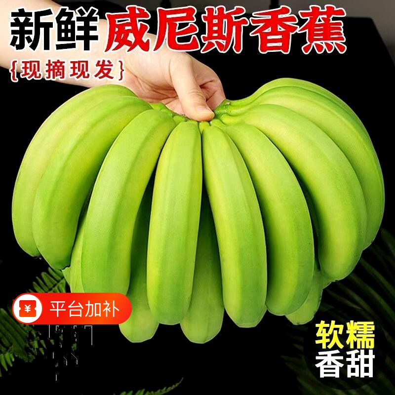 农家自种高山大香蕉banana当季新鲜水果整箱10斤甜香蕉自然熟现砍