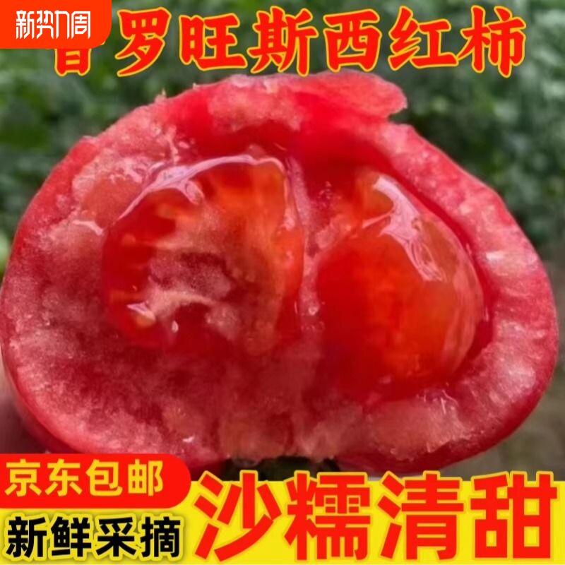 陕西泾阳普罗旺斯西红柿生吃沙瓤自然熟西红柿老品种西红柿包邮