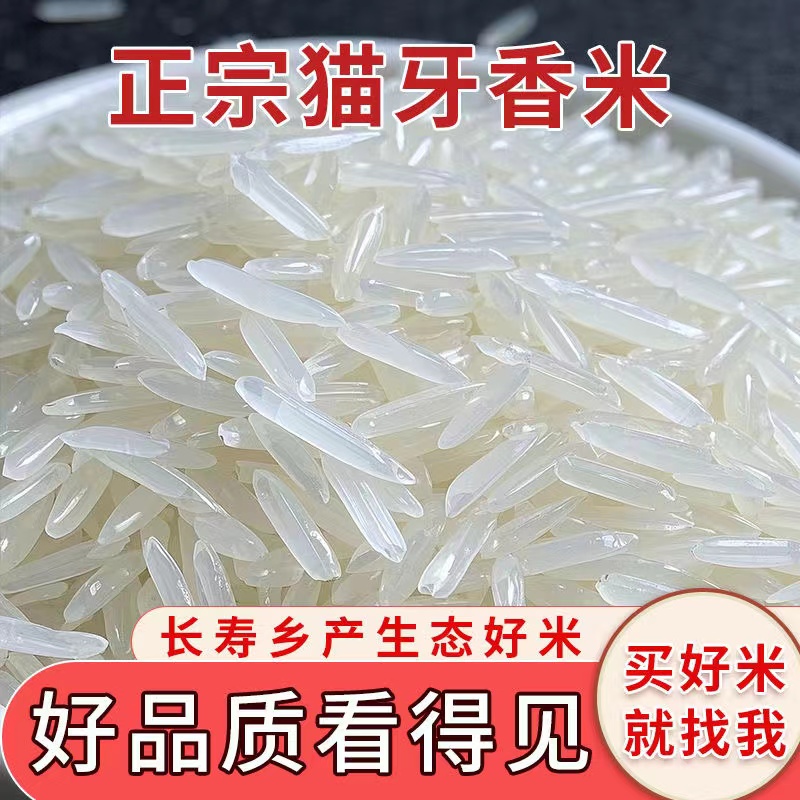 一级猫牙香米正宗新鲜今年新米广西大米煲仔饭软糯长粒原生态大米