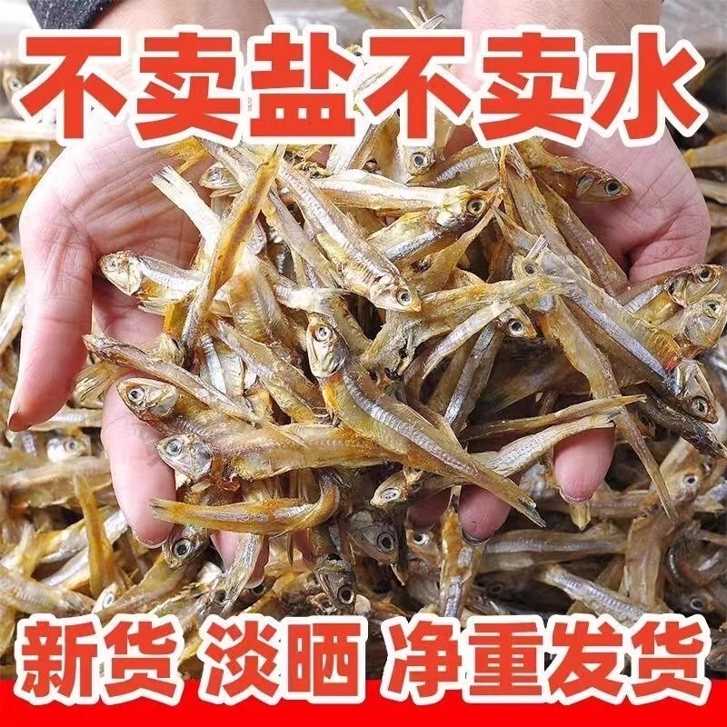 新鲜海燕银鱼干小鱼干海鲜干货渔家自晒风干鱼下饭小鱼干海鲜特产