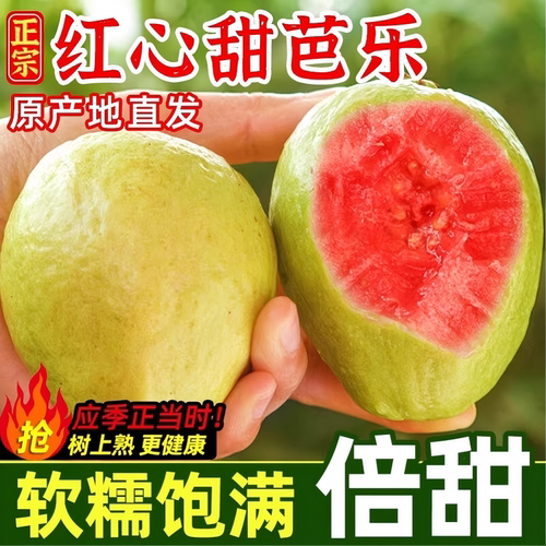 广西芭乐红心番石榴新鲜水果当季软糯奶油巴乐整箱顺丰京东应季