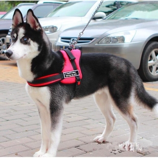 set工作犬狗背带导盲犬胸背牵引带宠物护心带 harness Sports Dog
